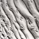ARH NL Koberg 5524, Fußabdrücke von Möwen im Sand, Insel Neuwerk