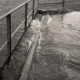 Archiv der Region Hannover, ARH NL Koberg 6628, Leinehochwasser