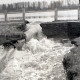 ARH NL Koberg 6654, Leinehochwasser