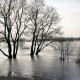 Archiv der Region Hannover, ARH NL Koberg 6660, Leinehochwasser