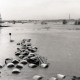 Archiv der Region Hannover, ARH NL Koberg 7079, Hochwasser im Leinetal, Hemmingen