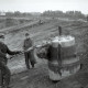 Archiv der Region Hannover, ARH NL Koberg 9333, Arbeiter beim Bau des Niedersachsenstadions (heute HDI-Arena), Hannover