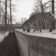 Archiv der Region Hannover, ARH NL Koberg 981, Zebras im Zoo, Hannover