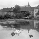 Archiv der Region Hannover, ARH NL Mellin 01-081/0011, Schwäne auf einem See