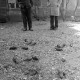 ARH NL Mellin 01-082/0021, Zwei Männer beobachten Vögel (Stare)