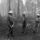 Archiv der Region Hannover, ARH NL Mellin 01-106/0012, Feuerwehr im Wald