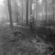 Archiv der Region Hannover, ARH NL Mellin 01-106/0013, Feuerwehr im Wald