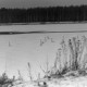 Archiv der Region Hannover, ARH NL Mellin 01-138/0004, Schwäne auf einem zugefrorenen See
