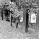 Archiv der Region Hannover, ARH NL Mellin 01-149/0001, Grabsteine auf einem jüdischen Friedhof