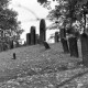 Archiv der Region Hannover, ARH NL Mellin 01-149/0004, Grabsteine auf einem jüdischen Friedhof
