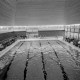 Archiv der Region Hannover, ARH NL Mellin 01-179/0006, Synchronschwimmen im Hallenfreibad, Burgdorf