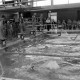 Archiv der Region Hannover, ARH NL Mellin 01-199/0009, Schwimmwettkampf in einem Hallenbad