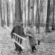 Archiv der Region Hannover, ARH NL Mellin 02-003/0018, Männer mit Leiter in einem Wald