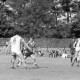 Archiv der Region Hannover, ARH NL Mellin 02-046/0006, Fußballspiel Hannover 96 gegen SuS Sehnde