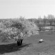 Archiv der Region Hannover, ARH NL Mellin 02-064/0018, Blick über einen Park, im Hintergrund die Kathedrale des Heiligen Erzengels Michael und des Heiligen Märtyrers Florian, Warschau