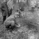 Archiv der Region Hannover, ARH NL Mellin 02-074/0010, Jäger mit Hund im Wald