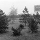 Archiv der Region Hannover, ARH NL Mellin 02-097/0020, Grünanlage mit Hinweisschild, Lehrte