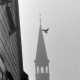 Archiv der Region Hannover, ARH NL Mellin 02-107/0007, Blick auf die Turmspitze der Pankratiuskirche, Burgdorf