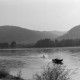 Archiv der Region Hannover, ARH NL Mellin 02-113/0008, Wasserskifahrer auf der Donau, Dürnstein