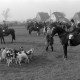 Archiv der Region Hannover, ARH NL Mellin 02-131/0001, Berittene Jagdgesellschaft mit Hundemeute (Beagle) auf einer Wiese versammelt