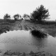 Archiv der Region Hannover, ARH NL Mellin 02-133/0002, Naturpark Südheide, Faßberg