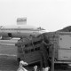 Archiv der Region Hannover, ARH NL Mellin 02-136/0002, Zwei Pferde in einer Transportbox für ein Flugzeug auf dem Flughafen Hannover, Langenhagen