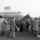 ARH NL Mellin 02-143/0003, Ein Pferd wird in eine Transportbox für ein Flugzeug geführt