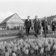 Archiv der Region Hannover, ARH NL Mellin 02-173/0014, Wilfried Hasselmann (Zweiter von links) mit einer Gruppe Personen zu einer Blumenschau am Essmannshof, Deckbergen
