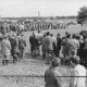 ARH Slg. Bartling 290, Vorführung von landwirtschaftlichen Geräten und Maschinen auf einem Feld in Mecklenhorst