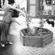ARH Slg. Bartling 683, Mittelstraße 28, Frau begießt Pflanzen im hölzernen Kübel vor dem Schaufenster von Foto Köster