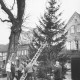 Stadtarchiv Neustadt a. Rbge., ARH Slg. Bartling 969, Männer beim Aufrichten eines Weihnachtsbaumes auf dem Kirchplatz neben der Kastanie, Blick nach Nordwesten auf die Fronten der Häuser Behrens und Knoke, Neustadt a. Rbge.
