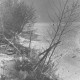 Stadtarchiv Neustadt a. Rbge., ARH Slg. Bartling 1125, Schneebedeckte Uferböschung mit Sträuchern am zugefrorenen See, Spuren vom regen Betreten des Eises, Steinhuder Meer