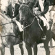 ARH Slg. Bartling 1399, Pferdezuchtverein, Hengst Adorno mit Reiterin zwischen anderen Pferden auf dem Reitplatz, Entgegennahme eines Blumengebindes, Mandelsloh