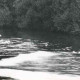 ARH Slg. Bartling 1564, Ölfilm auf dem Wasser der Leine, Entfernung durch die Feuerwehr unter Einsatz von Booten, Bordenau