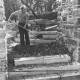 ARH Slg. Bartling 1567, Verlegung der Stufen für die neue Treppe von der Leinemasch zum Schlossgarten durch einen Arbeiter mit Schaufel und Schubkarre, Neustadt a. Rbge.