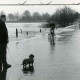 ARH Slg. Bartling 1574, Leine-Hochwasser am Fährhaus, Männer zu Fuß, mit dem Fahrrad und mit einem Dackel auf dem Weg durch das Wasser, Bordenau