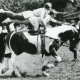 Stadtarchiv Neustadt a. Rbge., ARH Slg. Bartling 2173, Vorführung einer Voltigier-Gruppe mit Mädchen-Duo kniend mit ausgestrecktem Arm und Bein auf einem trabenden Pony