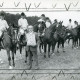 ARH Slg. Bartling 2182, Reitturnier, nebeneinander aufgestellte Teilnehmer, auf ihrem Pferd aufsitzend, beim Überreichen des Ehrenpreises durch Bürgermeister Schöling, Rodewald