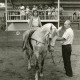 Stadtarchiv Neustadt a. Rbge., ARH Slg. Bartling 2197, Zwei Mädchen auf einem Pferd (Schimmel), das von Walter Hahn (Reitlehrer) geführt wird, stehend beim Voltigieren in der Reithalle, Mandelsloh