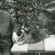 ARH Slg. Bartling 2470, Jagdpächter Rehbock zeigt dem N. N. einen Waschbären, den er in der Stadtforst erlegt hat, Kreisjägerschaft, Neustadt a. Rbge,