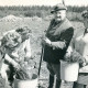 Stadtarchiv Neustadt a. Rbge., ARH Slg. Bartling 3582, Pflanzung von Setzlingen durch drei Frauen unter der Leitung von Förster Oskar Lieske (Försterei Dammkrug, in Försterkleidung)