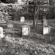 Stadtarchiv Neustadt a. Rbge., ARH Slg. Bartling 3629, Russischer Soldatenfriedhof im Grinderwald südlich von Linsburg, Blick über das Gräberfeld mit Gedenksteinen, Linsburg