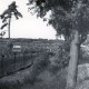 ARH Slg. Bartling 4051, Blaubeerplantage Wassermann, Blick entlang dem Grenzzaun und den Straßenrand der B 6 in Richtung Nienburg, Eilvese