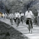 ARH Slg. Bartling 4084, Zahlreiche Männer und Frauen bei Sonnenschein auf Fahrradtour in Eilvese (?)