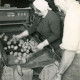 ARH Slg. Bartling 4098, Bauer und Bäuerin beim Verlesen und Abfüllen von Kartoffeln in Jutesäcke auf dem Hof Habermann, Eilvese