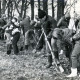 ARH Slg. Bartling 4104, Schulkinder bei einer Baumpflanz-Aktion, Eilvese