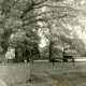 ARH Slg. Bartling 4235, Alte Laubbäume auf einer eingezäunten Wiese im Dorf, im Hintergrund die Giebelfront eines Bauernhofs, Helstorf