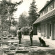 Stadtarchiv Neustadt a. Rbge., ARH Slg. Bartling 4241, Freizeit- und Begegnungszentrum Abbensen des CVJM-Hannover, Alte Zollstraße 33, Blick über die Terrasse, Abbensen