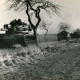 ARH Slg. Bartling 4364, Panzer bei der Fahrt über eine Landstraße, Blick vom Straßenrand auf den anrollenden Verband, Luttmersen