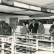 ARH Slg. Bartling 4470, Gemischte Besuchergruppe in einem leeren Tierstall des Instituts für Tierzucht und Tierverhalten, Mariensee